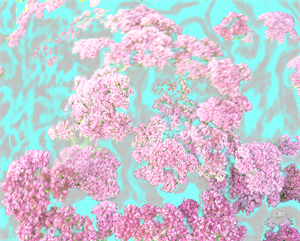 ПР 476.png
